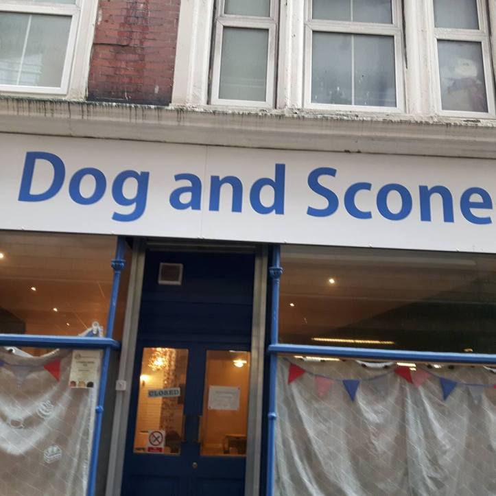 29243722_10156288112558179_4850402276424024064_n