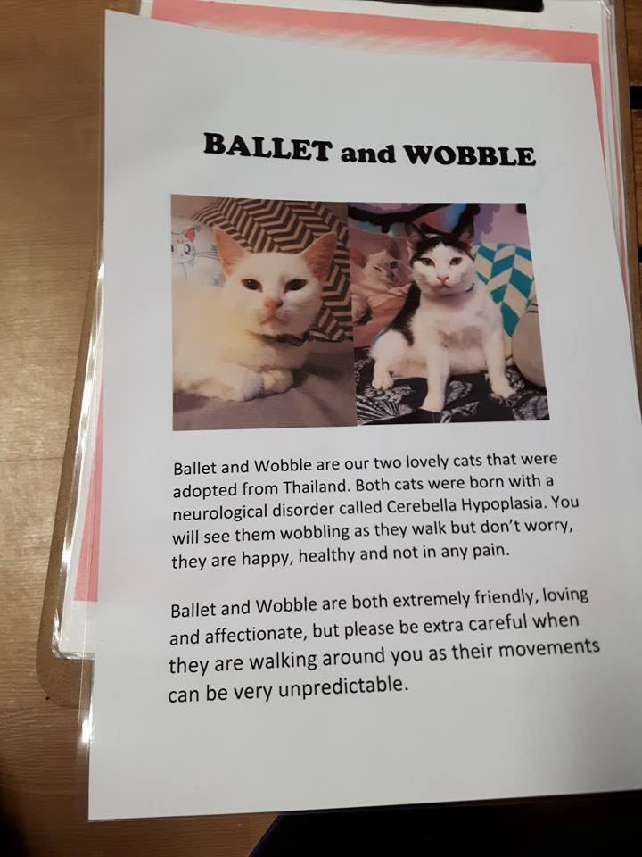 29261533_10156288113048179_2112675686844989440_n