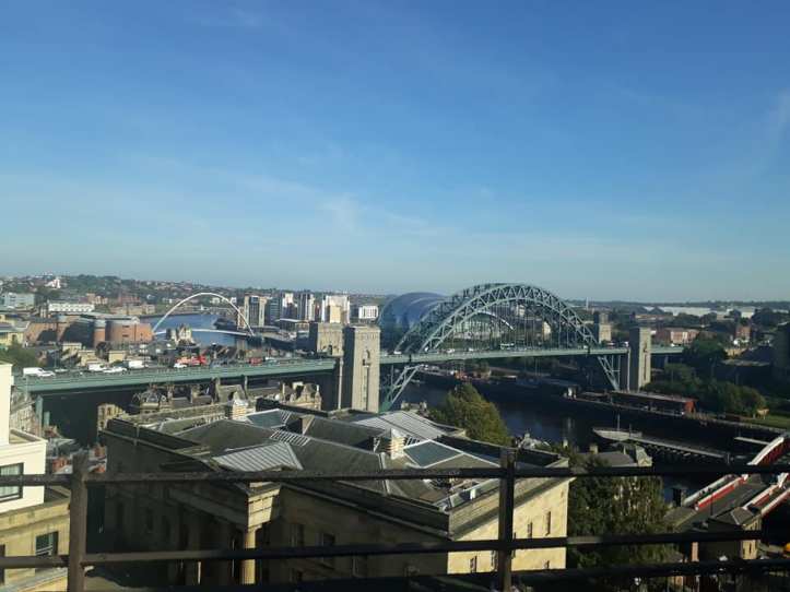 71495233_10157689485948179_8629669997335019520_n