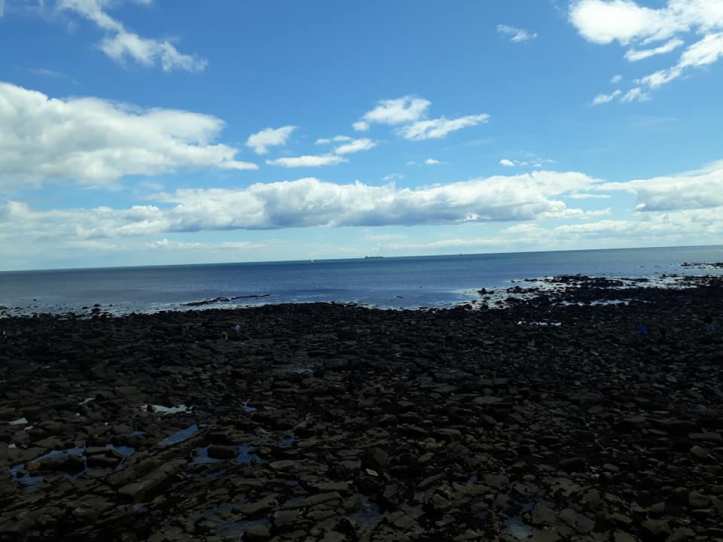 116340120_10158769326093179_5165015427895890251_n