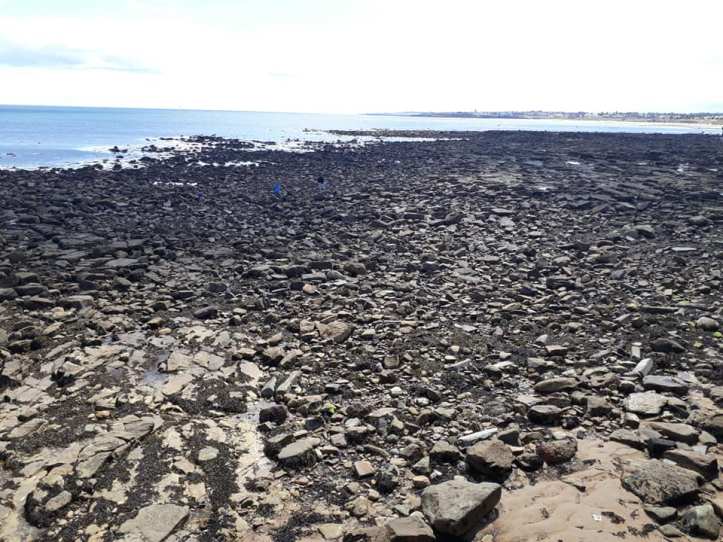 116430936_10158769326258179_116450745726494224_n