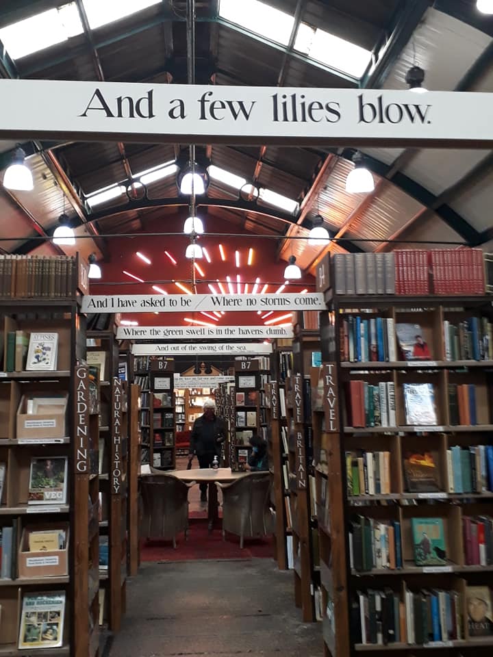 118229393_10158845114628179_3036667250526565291_n