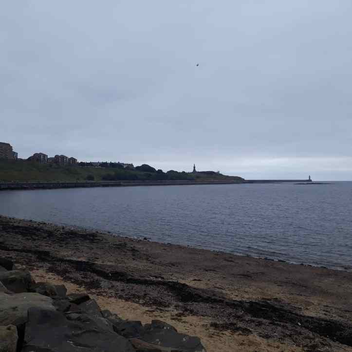 IMG_20200816_140443_461